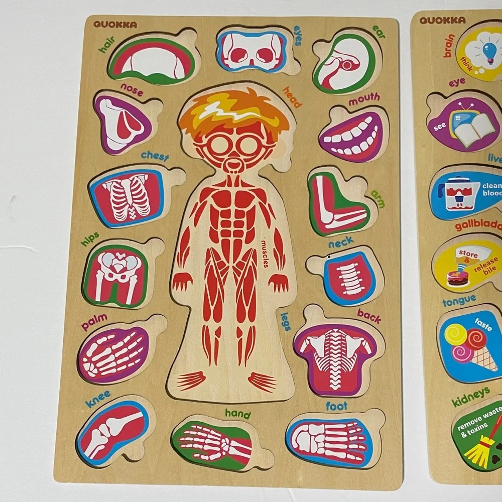 Kids Wooden Anatomy Puzzle - Brown Educational Body Parts Game - Picture 2 of 8